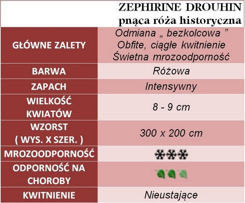 Zephirine Drouhin